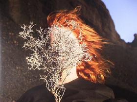 Goldfrapp – Systematic