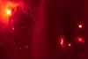 IC 348