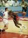 Magic Johnson, Dražen Petrović
