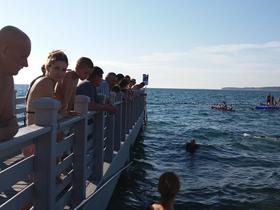 Kako zagotoviti varnost na plaži?