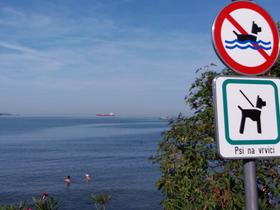 Plaža v Valdoltri je med bolj priljubljenimi kopalnimi območji v ankaranski občini