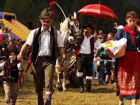 Der 60. Kuhball in Bohinj
