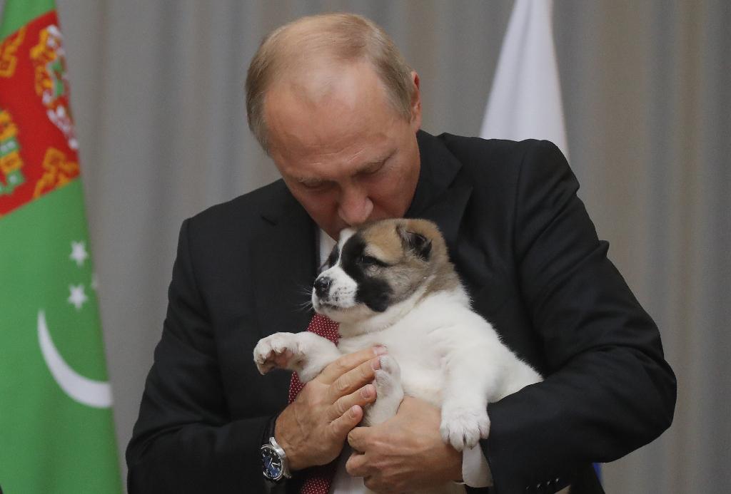 Gurbangulij Berdimuhamedov, Vladimir Putin, pes