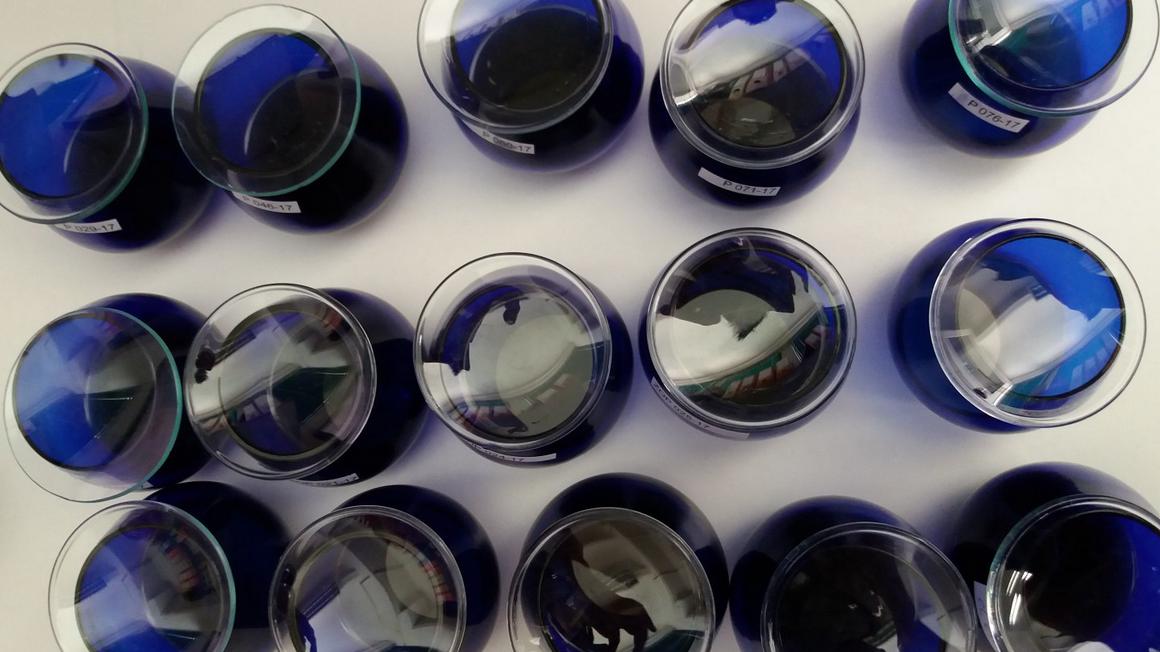 Inšpekcija za varno hrano bo tudi letos opravljala nadzor oljčnega olja s trgovskih polic. Vzorce ocenijo degustatorji akreditiranega laboratorija ZRS Koper. Foto: Radio Koper