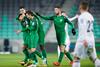 Rok Kronaveter se je med strelce vpisal prvič po skoraj letu dni, pred tokratnim zadetkom je nazadnje dosegel gol 4. decembra lani na gostovanju pri Radomljah v Domžalah. Foto: www.alesfevzer.com