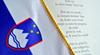 Pri priredbi Zdravljice so uporabili vseh osem kitic, vendar so jo s Slovenci in priseljenci nekoliko preobrazili, tako da so nekatere njene kitice zapete v drugih jezikih. Prvo in zadnjo kitico pa je recitiral Cavazza. Foto: BoBo