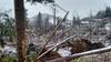 Vetrolom je najbolj prizadel smreke, saj so listavci veliko odpornejši. Fotografija je iz kočevskih gozdov. Foto: MMC RTV SLO/Marija Jakopin