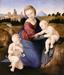 Umetnina Madonna Esterhazy (1508) je stoletja šla skozi roke številnih papežev in kraljevih družin. Foto: Wikipedia