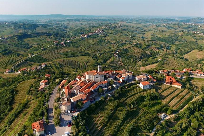 Goriška Brda