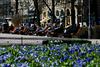Nordijske države so tradicionalno na vrhu seznama najsrečnejših držav. Na fotografiji prizor iz Helsinkov. Foto: Reuters
