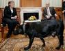 Angeli Merkel je bilo ob Putinovi labradorki na srečanju v Sočiju leta 2007 vidno nelagodno. Foto: EPA