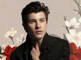 Shawn Mendes - In My Blood