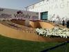 Vinitaly