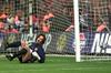 David Seaman