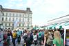 vegafest