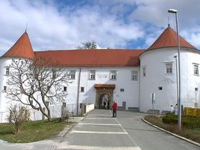 Slovenija k deinstitucionalizaciji pristopa počasi