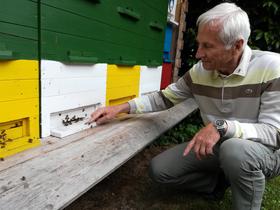 Slovenia wants clearer honey labels
