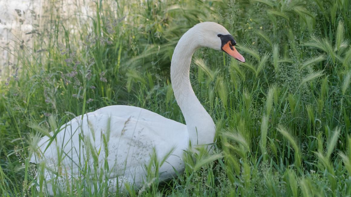 Slika je simbolična. Foto: BoBo/Miloš Vujinović