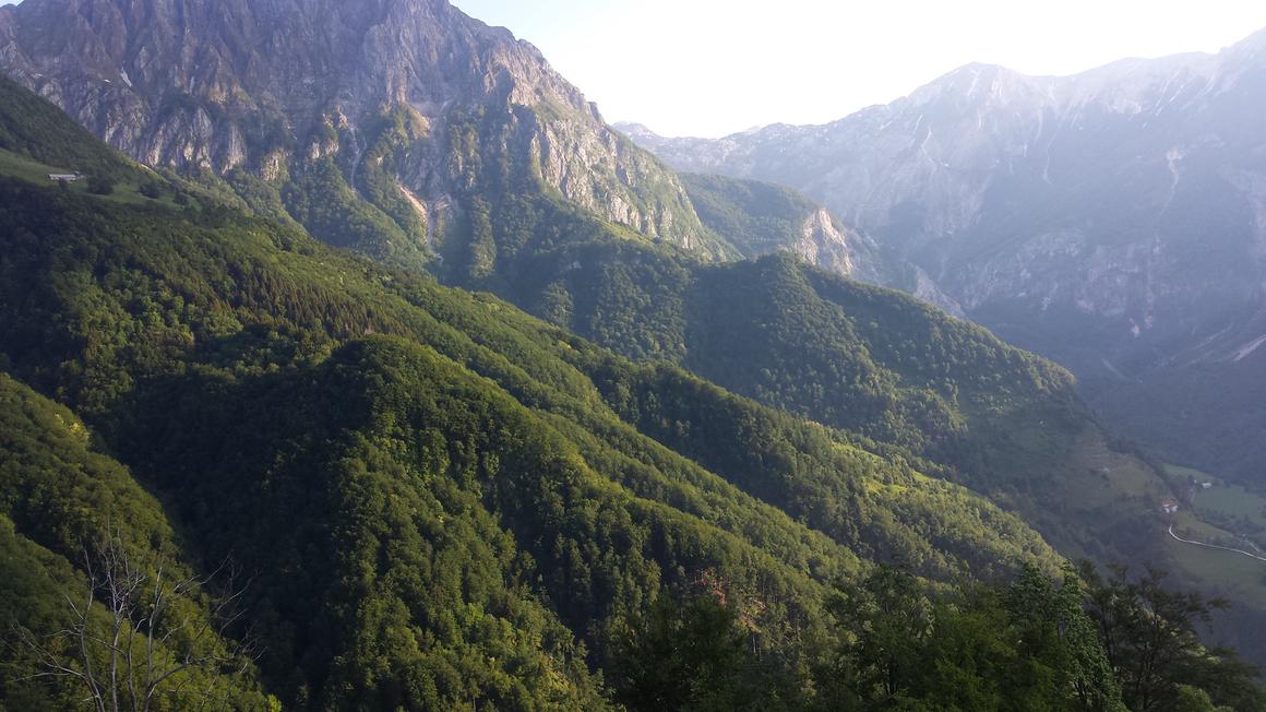 Foto: MMC RTV SLO/Kaja Sajovic