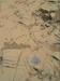 Mojave 2