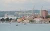 Koper