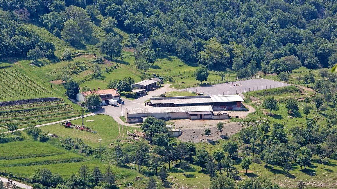 Kmetija Trček. Foto: Radio Koper/splet
