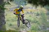 Bike park Kvavavec, which has the longest mountain bike trails in Slovenia, is this summer enriched by another new trail. Foto: Reuters