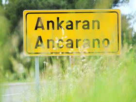 V Ankaranu trgovina s ponudbo lokalno pridelane hrane