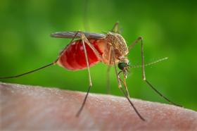 Malarija, odporna proti zdravilom, se širi po JV Azije