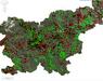 Register divjih odlagališč