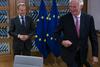 Predsednik Evropskega sveta Donald Tusk in glavni pogajalec EU-ja za brexit Michel Barnier. Foto: EPA