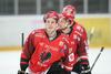 SIJ Acroni Jesenice