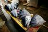 Tsukiji slovi kot tržnica, kjer lahko na enem mestu kupite praktično vse, kar ponuja ocean. Foto: Reuters