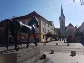 Kandidati za župana Slovenj Gradca o hmeljiščih, tretji razvojni osi in razvoju občine