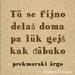 Prekmurski argo