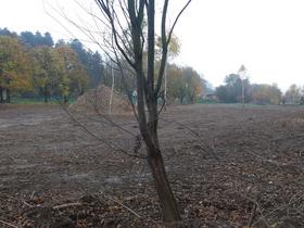 Vrtovi bodo tudi pod Pekrsko gorco