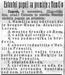 Domovina, 8.11.1918