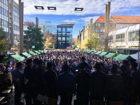 St. Martinsfeste