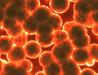 Evropski dan antibiotikov zaznamujemo 18. novembra, med 13. in 19. novembrom pa svetovni teden antibiotikov. Njun namen je predvsem ozaveščati ljudi, da antibiotiki ob pretirani uporabi izgubljajo učinkovitost v boju proti bakterijam. Ob letošnjem svetovnem tednu velja poziv zdravstvenim delavcem, naj z ustrezno higieno rok pomagajo preprečevati širjenje odpornosti mikrobov v zdravstvenih ustanovah. Foto: Pixabay