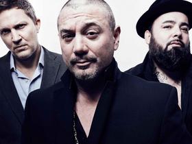 Fun Lovin 'Criminals – Daylight