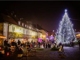 Čarobni december brez izvajalca, tudi drsališča občina ne bi plačala