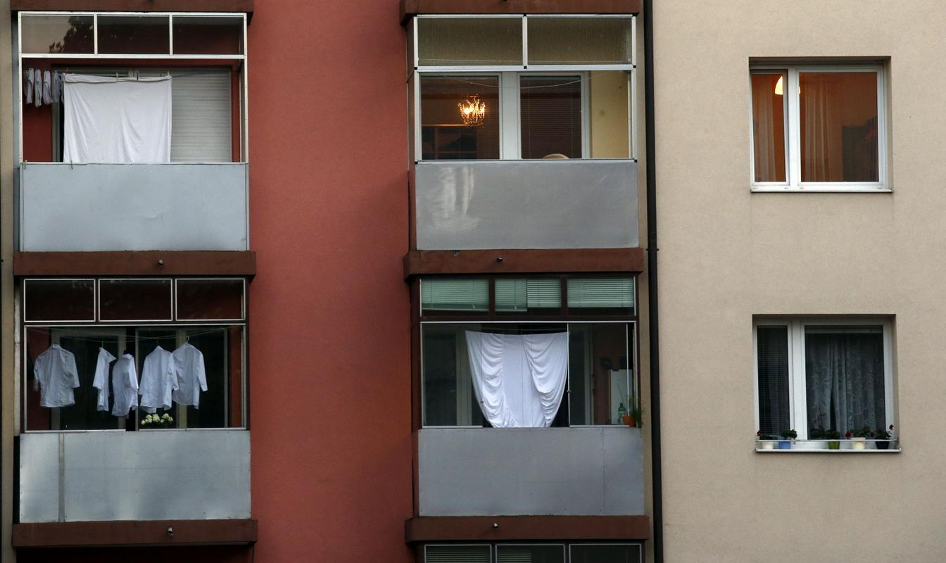 BoBo/Borut Živulović|
