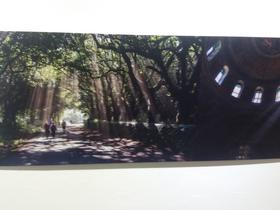 Fotografija je lepa, ker z njo ujameš trenutek