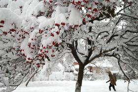 Ponekod v BiH-u zapadlo več kot pol metra snega, močno sneži tudi v Beogradu