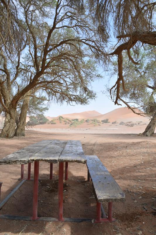 Zajtrk na polju Sossusvlei. Foto: Matic in Carmen Pirc Zajtrk na polju Sossusvlei. Foto: Matic in Carmen Pirc