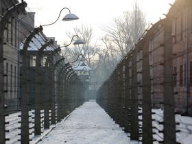 International Holocaust Remembrance Day marked in Slovenia