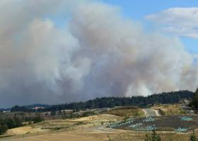Nova Zelandija: Divji požar se zaradi močnih vetrov hitro širi