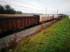 Prvi tovorni vlak prihaja v Kočevje po skoraj desetletju