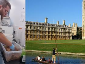 Ljubezen do žuželk ga je pripeljala na Cambridge in do lastnega podjetja