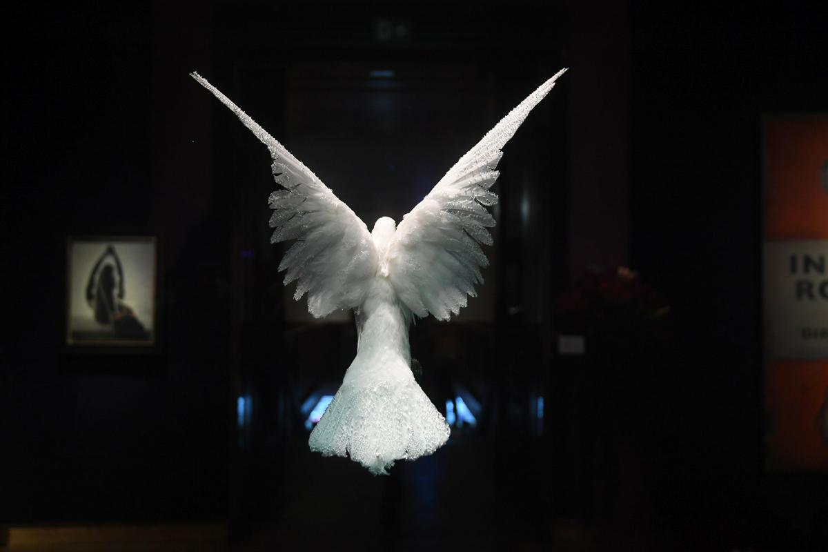 Za goloba v formaldehidu Damiena Hirsta si obetajo največji izkupiček. Foto: EPA Za goloba v formaldehidu Damiena Hirsta si obetajo največji izkupiček. Foto: EPA